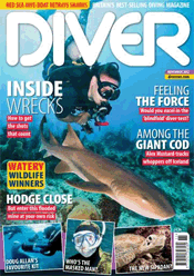 Diver - British