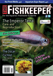 Fishkeeper (The)